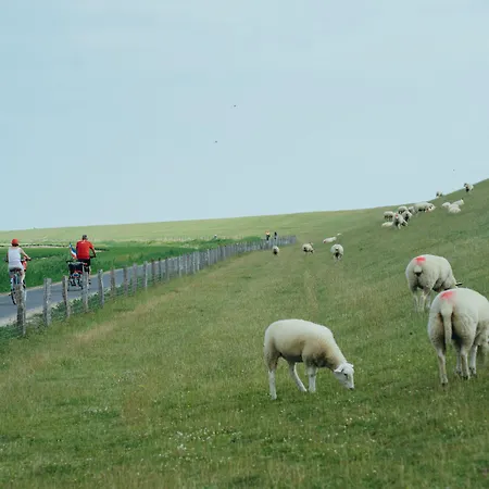 Astra Maris 酒店 4*