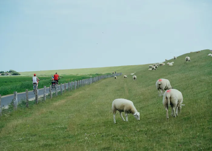 Astra Maris Hotel 4*